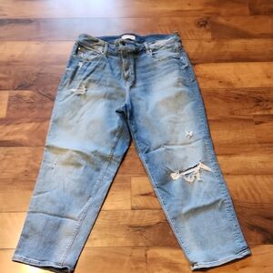 Lane Bryant Light Blue Distressed Boyfriend Jeans 18
